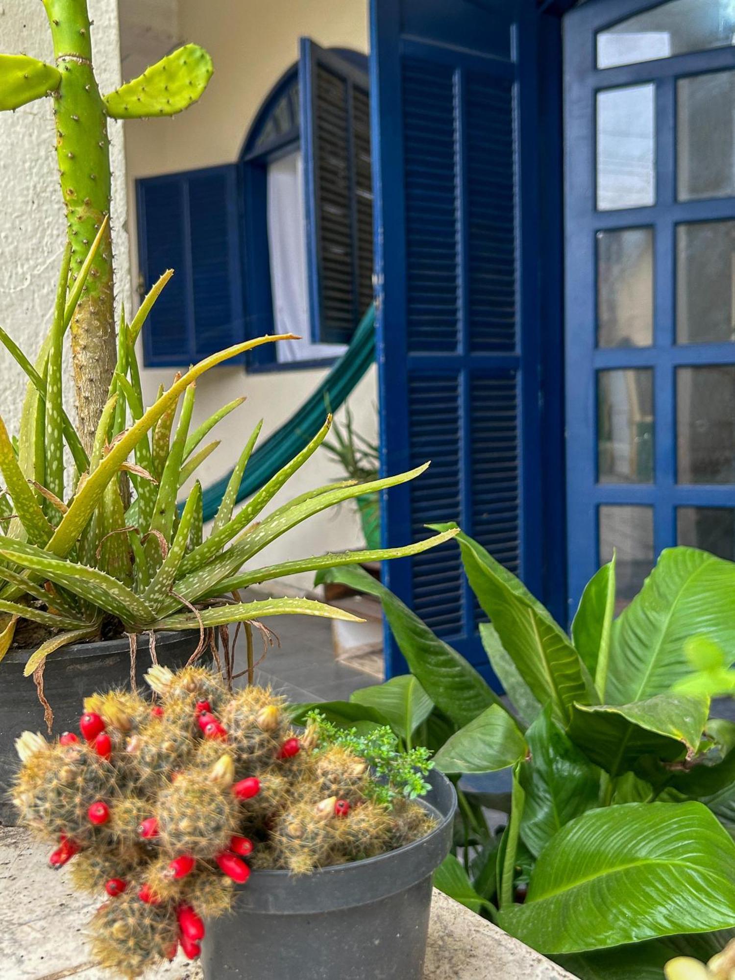 Casa Surya Araquari Exteriér fotografie